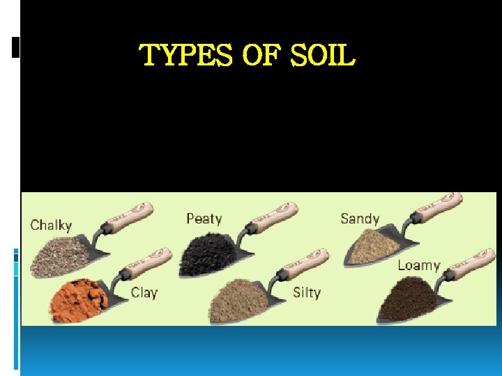 TYPES OF SOIL 