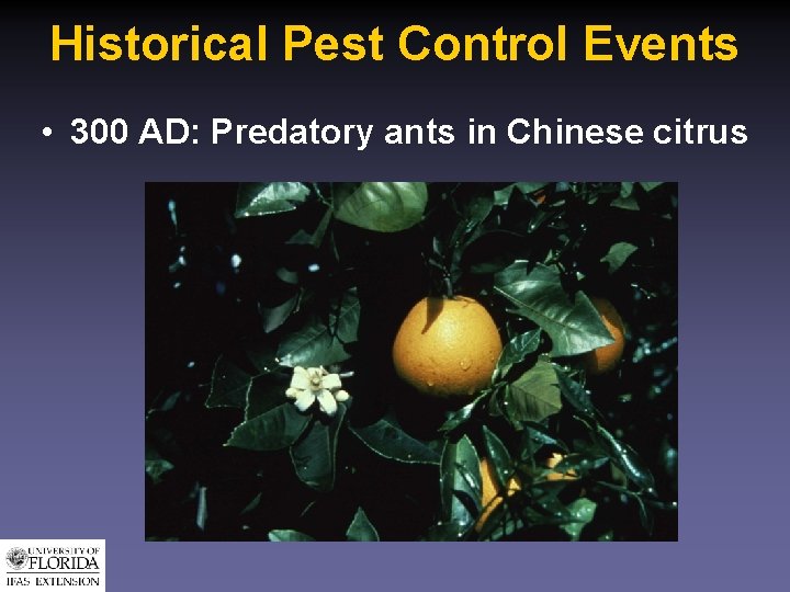 Historical Pest Control Events • 300 AD: Predatory ants in Chinese citrus 