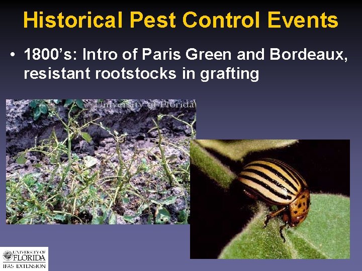 Historical Pest Control Events • 1800’s: Intro of Paris Green and Bordeaux, resistant rootstocks