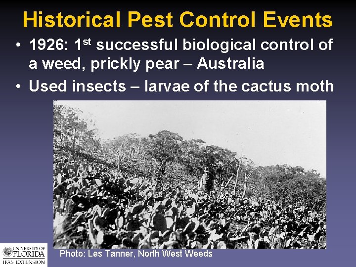 Historical Pest Control Events • 1926: 1 st successful biological control of a weed,