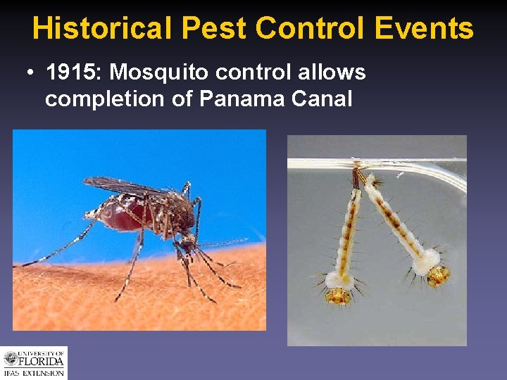 Historical Pest Control Events • 1915: Mosquito control allows completion of Panama Canal 