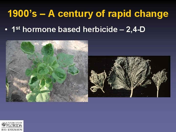 1900’s – A century of rapid change • 1 st hormone based herbicide –