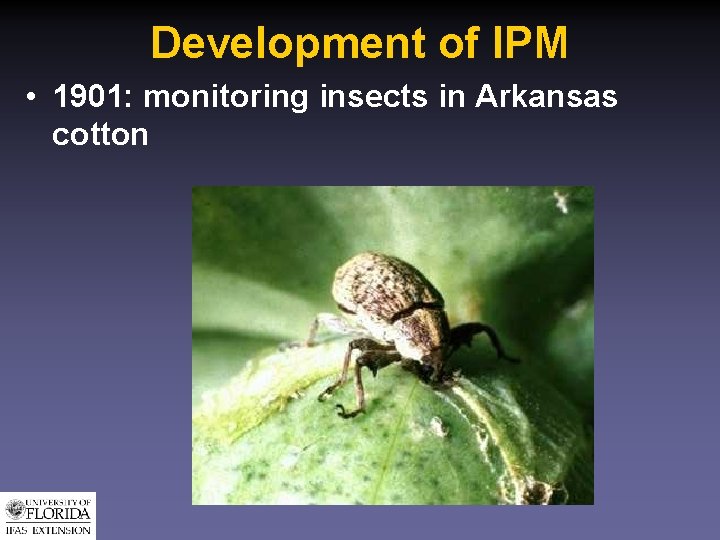 Development of IPM • 1901: monitoring insects in Arkansas cotton 