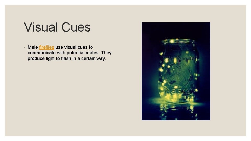 Visual Cues ◦ Male fireflies use visual cues to communicate with potential mates. They
