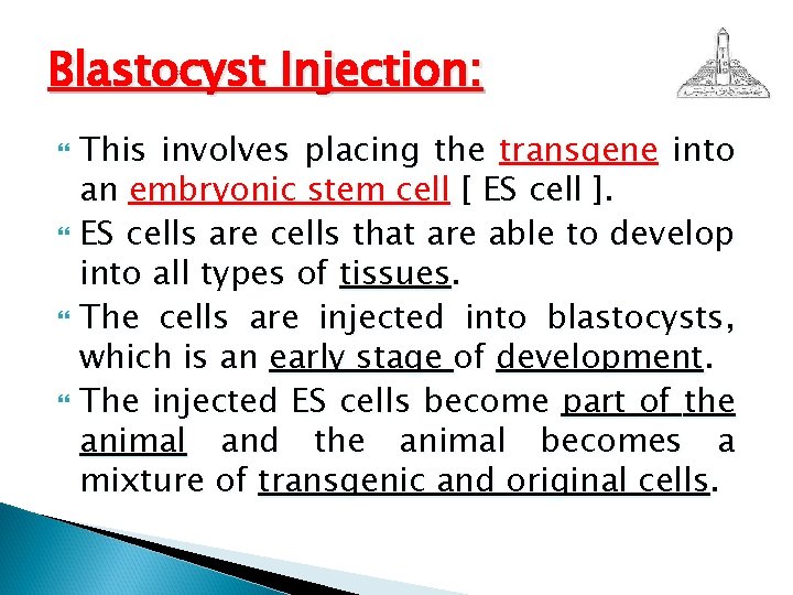 Blastocyst Injection: This involves placing the transgene into an embryonic stem cell [ ES