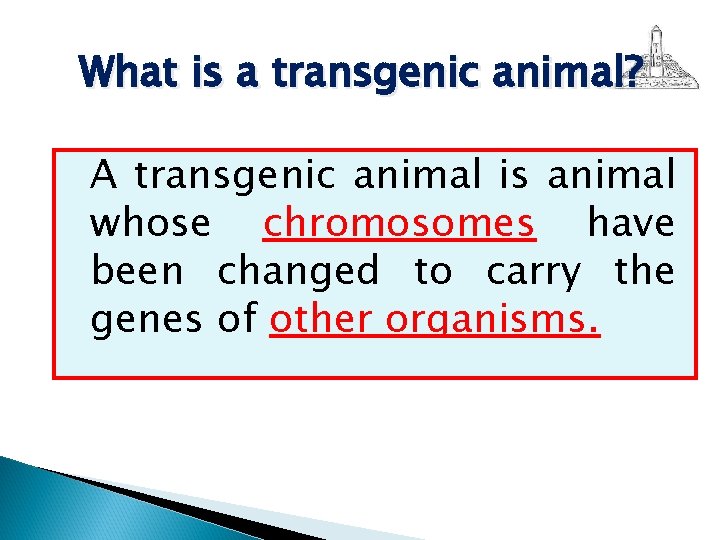 What is a transgenic animal? A transgenic animal is animal whose chromosomes have been