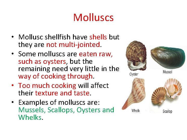 Molluscs • Mollusc shellfish have shells but they are not multi-jointed. • Some molluscs
