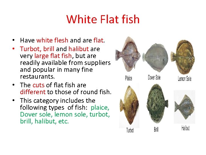 White Flat fish • Have white flesh and are flat. • Turbot, brill and