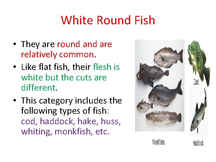 White Round Fish • They are round are relatively common. • Like flat fish,