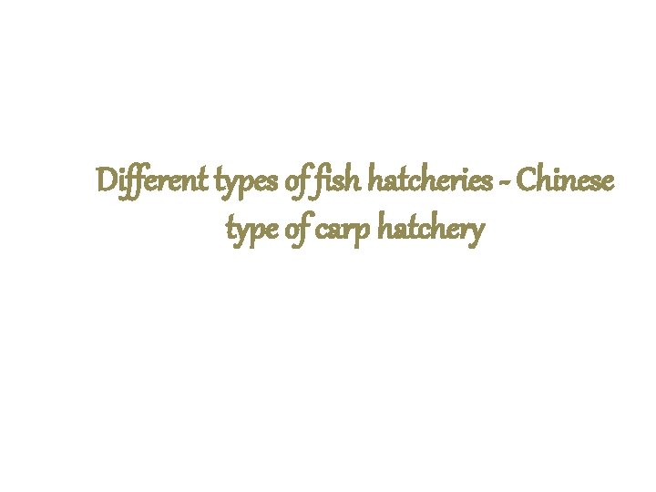 Different types of fish hatcheries - Chinese type of carp hatchery 