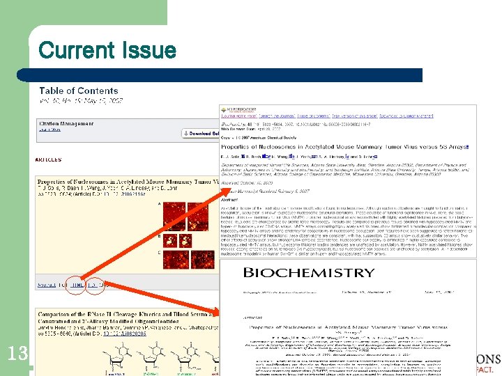 Current Issue 13 ACS - ㈜신원데이터넷 