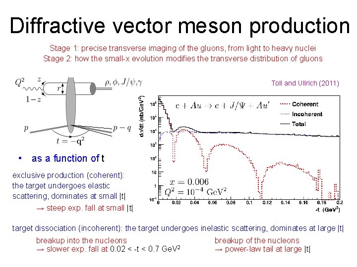 Diffractive vector meson production Stage 1: precise transverse imaging of the gluons, from light