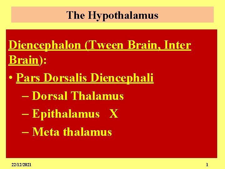 The Hypothalamus Diencephalon (Tween Brain, Inter Brain): • Pars Dorsalis Diencephali – Dorsal Thalamus