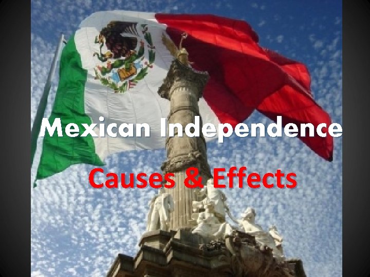 Mexican Independence Causes & Effects 