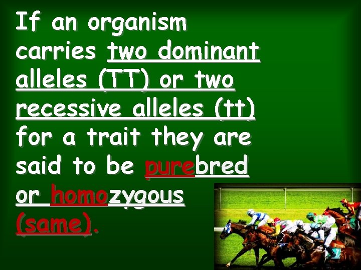 If an organism carries two dominant alleles (TT) or two recessive alleles (tt) for If an organism carries two dominant alleles (TT) or two recessive alleles (tt) for