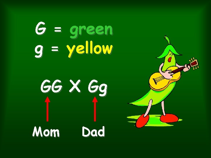 G = green g = yellow GG X Gg Mom Dad 