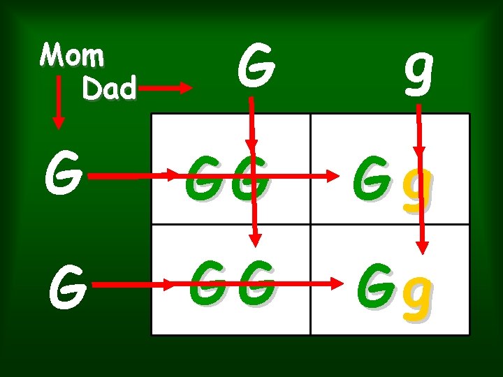 G g G GG Gg Mom Dad G g G GG Gg Mom Dad