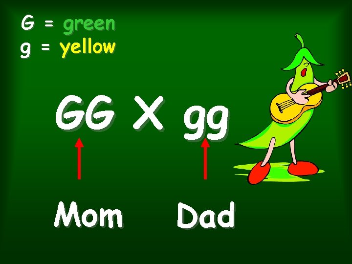 G = green g = yellow GG X gg Mom Dad 