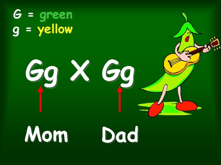 G = green g = yellow Gg X Gg Mom Dad G = green g = yellow Gg X Gg Mom Dad