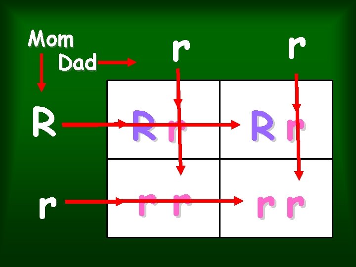 r r R Rr Rr r rr rr Mom Dad r r R Rr Rr r rr rr Mom Dad