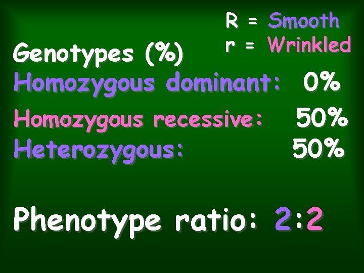 R = Smooth r = Wrinkled Genotypes (%) Homozygous dominant: 0% Homozygous recessive: 50%