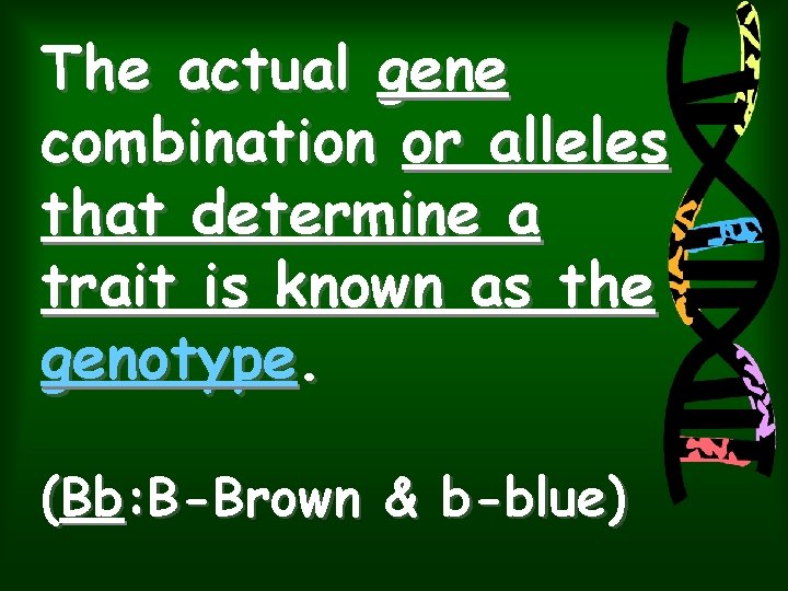 The actual gene combination or alleles that determine a trait is known as the