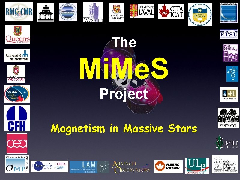The Mi. Me. S Project Magnetism in Massive Stars 