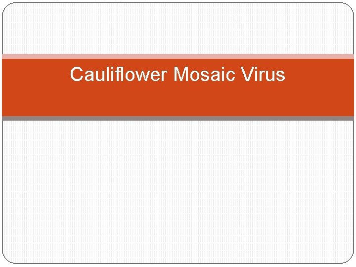 Cauliflower Mosaic Virus 
