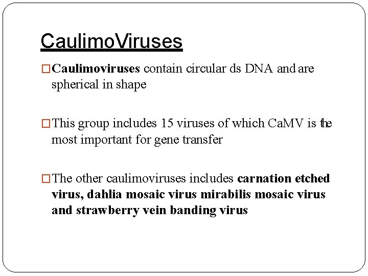 Caulimo. Viruses �Caulimoviruses contain circular ds DNA and are spherical in shape �This group