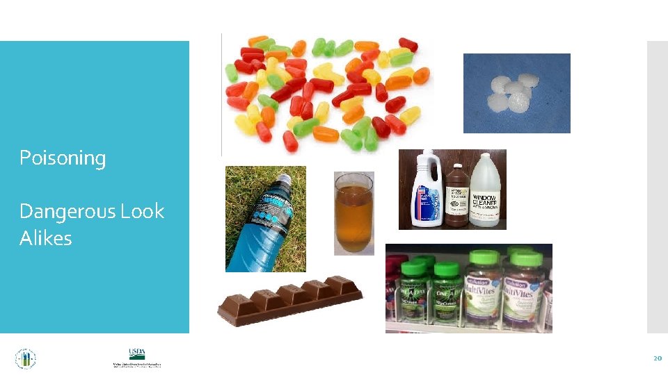 Poisoning Dangerous Look Alikes 20 