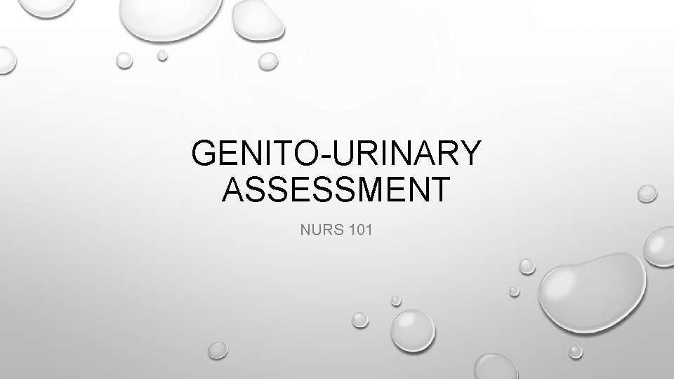 GENITO-URINARY ASSESSMENT NURS 101 