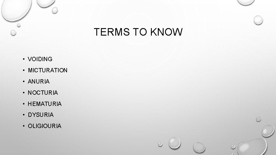 TERMS TO KNOW • VOIDING • MICTURATION • ANURIA • NOCTURIA • HEMATURIA •