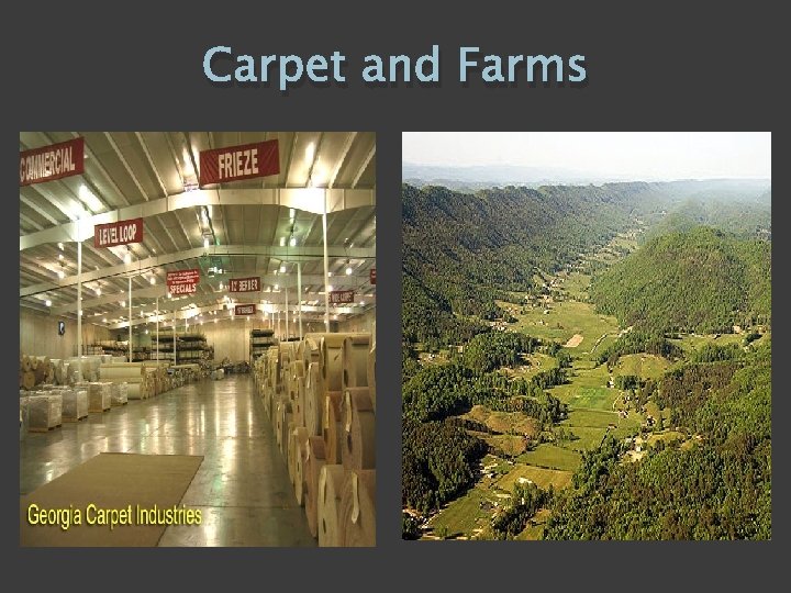 Carpet and Farms 