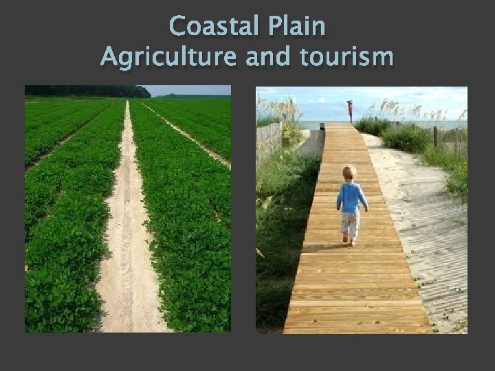 Coastal Plain Agriculture and tourism 