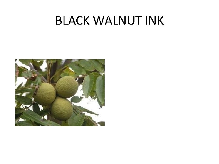 BLACK WALNUT INK 
