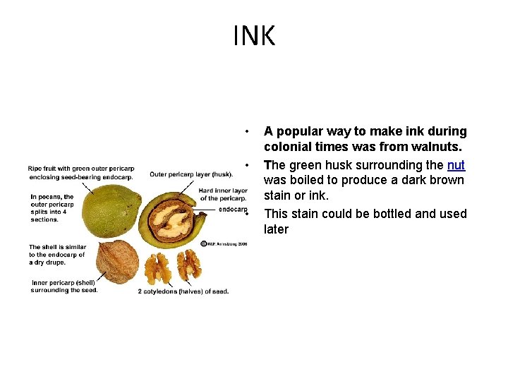 INK • • • A popular way to make ink during colonial times was