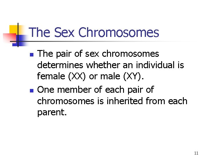 The Sex Chromosomes n n The pair of sex chromosomes determines whether an individual