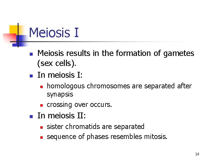 Meiosis I n n Meiosis results in the formation of gametes (sex cells). In