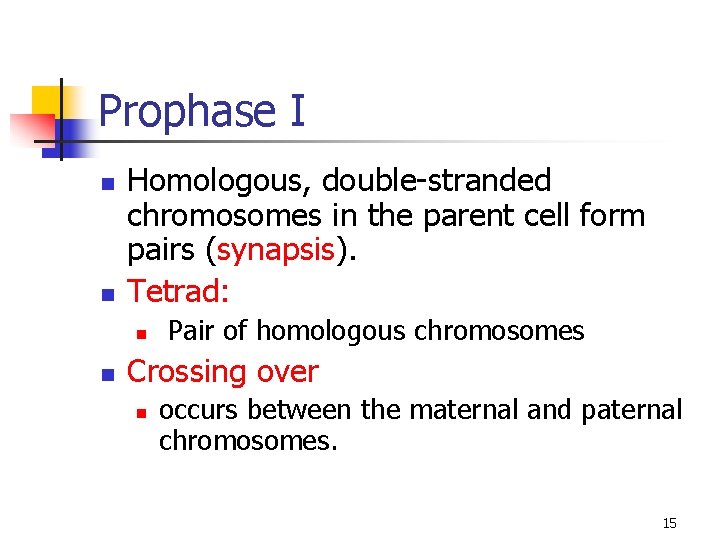 Prophase I n n Homologous, double-stranded chromosomes in the parent cell form pairs (synapsis).