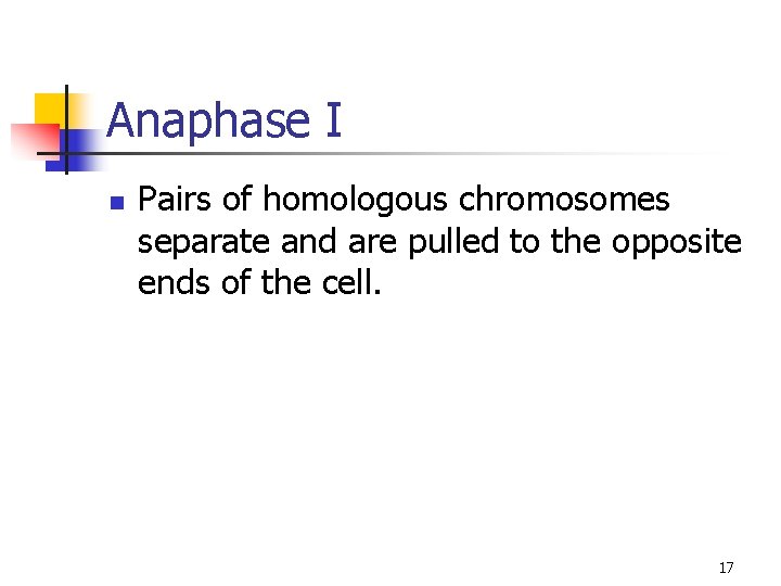 Anaphase I n Pairs of homologous chromosomes separate and are pulled to the opposite Anaphase I n Pairs of homologous chromosomes separate and are pulled to the opposite