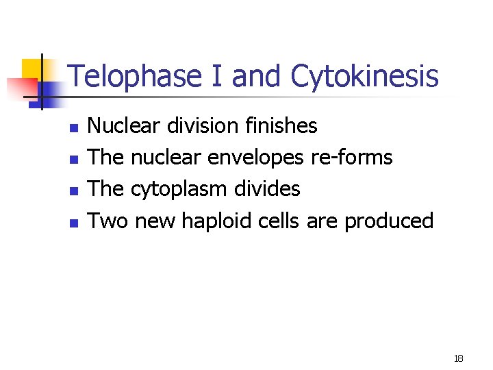 Telophase I and Cytokinesis n n Nuclear division finishes The nuclear envelopes re-forms The