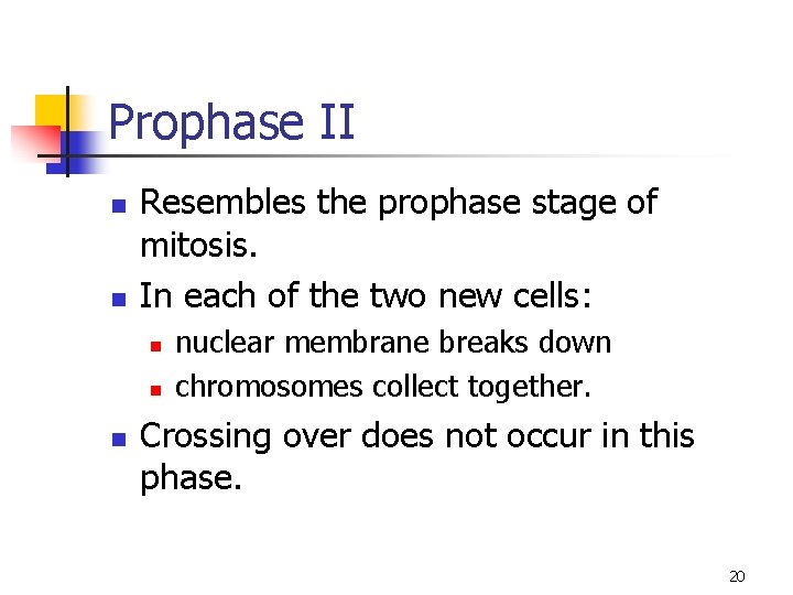 Prophase II n n Resembles the prophase stage of mitosis. In each of the