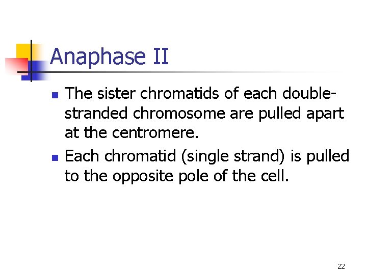 Anaphase II n n The sister chromatids of each doublestranded chromosome are pulled apart