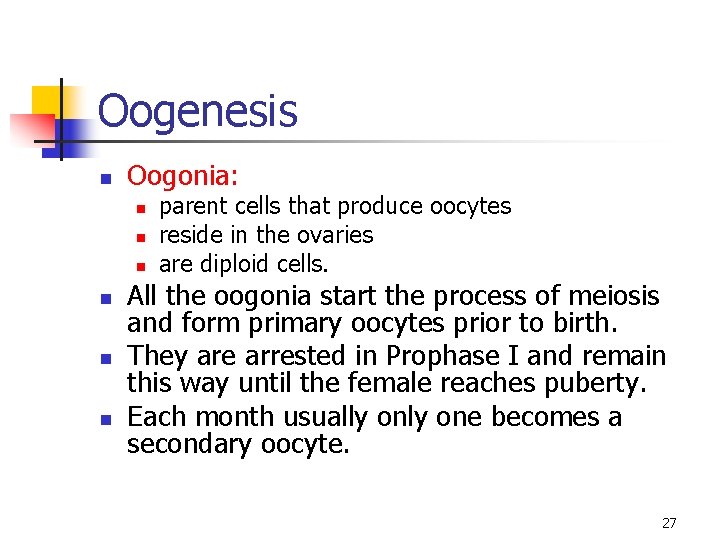 Oogenesis n Oogonia: n n n parent cells that produce oocytes reside in the