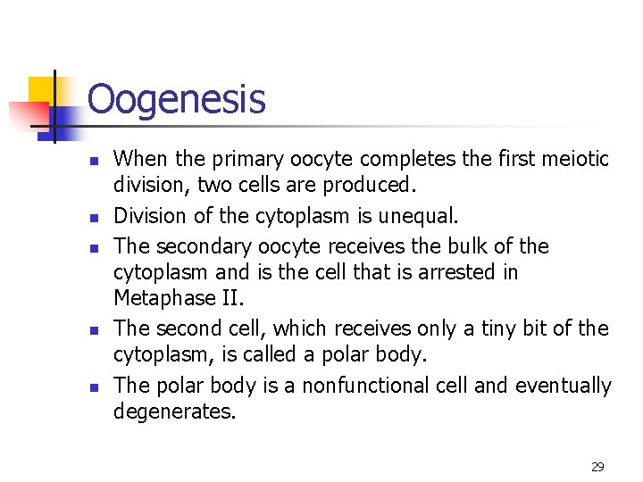 Oogenesis n n n When the primary oocyte completes the first meiotic division, two