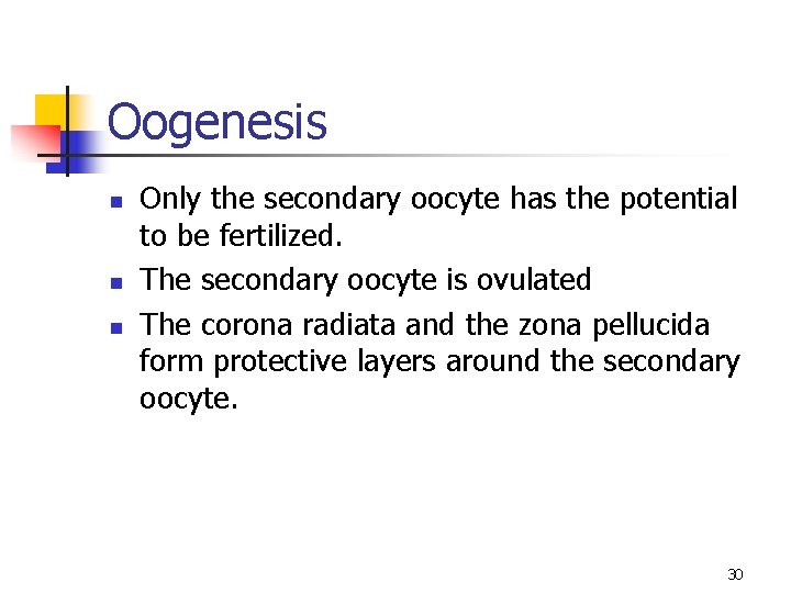 Oogenesis n n n Only the secondary oocyte has the potential to be fertilized.