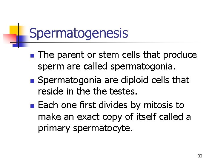 Spermatogenesis n n n The parent or stem cells that produce sperm are called