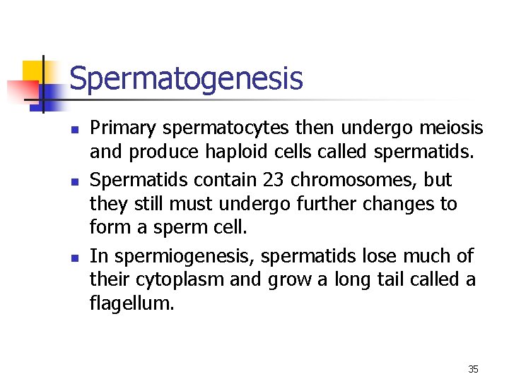 Spermatogenesis n n n Primary spermatocytes then undergo meiosis and produce haploid cells called