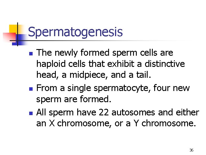 Spermatogenesis n n n The newly formed sperm cells are haploid cells that exhibit