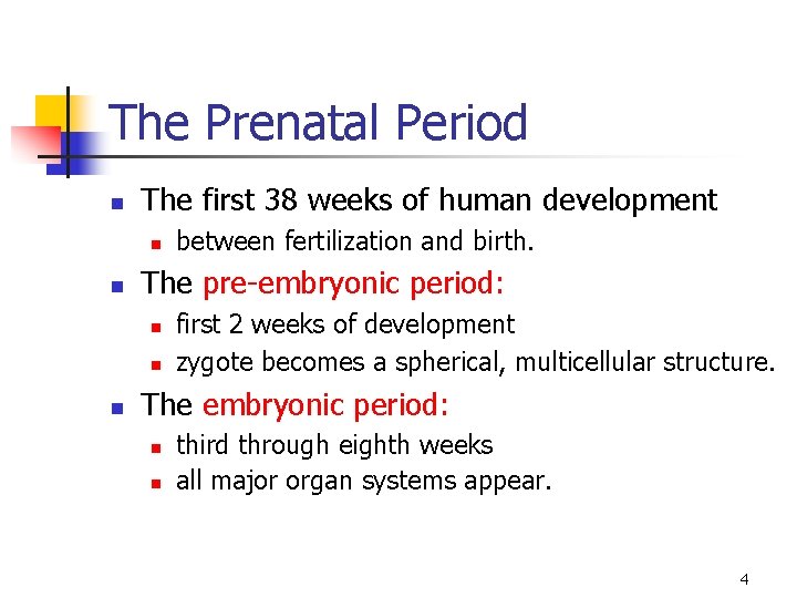 The Prenatal Period n The first 38 weeks of human development n n The